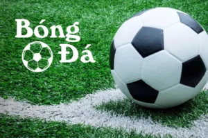 Quy Định Về Bóng Trong Cuộc Và Bóng Ngoài Cuộc Trong Bóng Đá