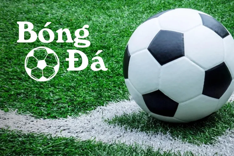 Quy Định Về Bóng Trong Cuộc Và Bóng Ngoài Cuộc Trong Bóng Đá