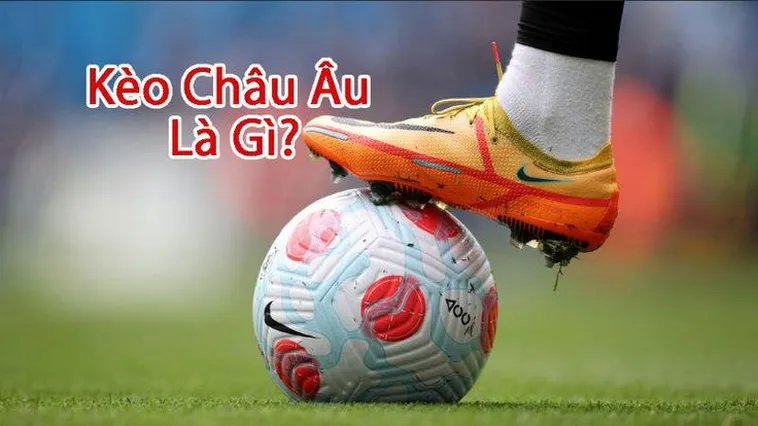 Giải Mã Kèo Châu Âu 1X2 Cách Đọc Và Tính Toán Lợi Nhuận