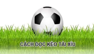 Chiến Thuật Soi Kèo Tài Xỉu Hiệp 1 Hiệu Quả Dựa Trên Số Liệu