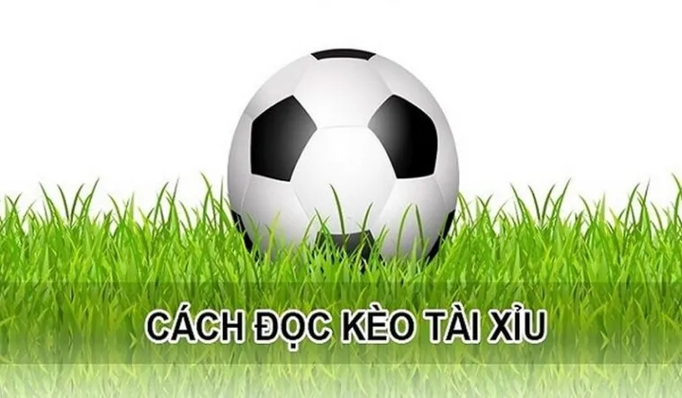 Chiến Thuật Soi Kèo Tài Xỉu Hiệp 1 Hiệu Quả Dựa Trên Số Liệu