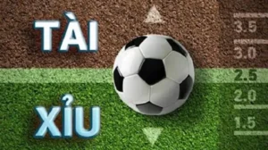 Giải Mã Kèo 2.25 Tài Xỉu Hai Trái Hai Trái Rưỡi Trong Bóng Đá