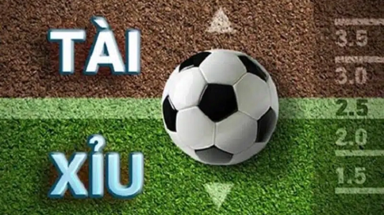 Giải Mã Kèo 2.25 Tài Xỉu Hai Trái Hai Trái Rưỡi Trong Bóng Đá