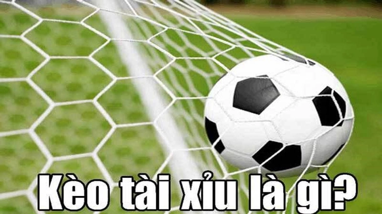 Phân Tích Kèo Tài Xỉu Bóng Đá Chuẩn Xác Từ Chuyên Gia
