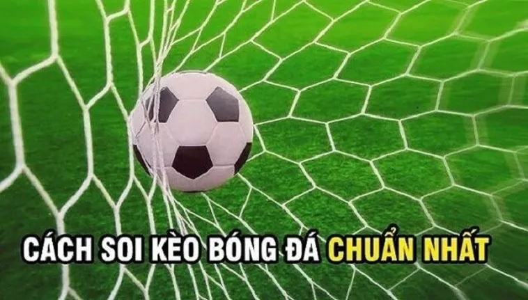 Bí Quyết Chơi Kèo Rung Trong Bóng Đá Hiệu Quả Nhất Cho Người Mới